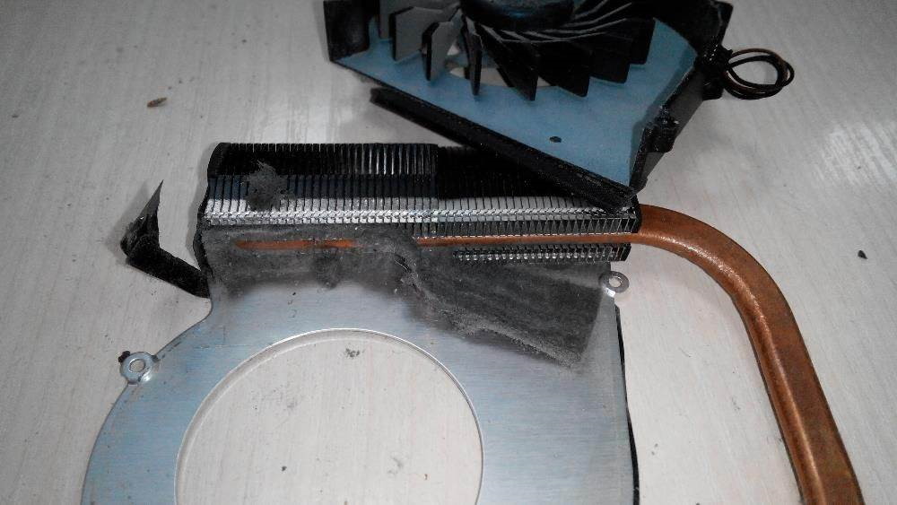 Удаление вирусов в Ницце